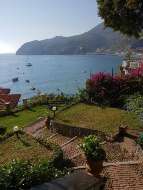 ALBA Levanto